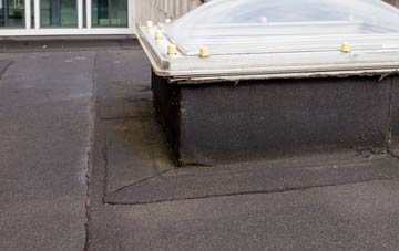 disadvantages of Brucehill flat roofs
